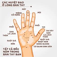 Dịch vụ xoa bóp bấm huyệt